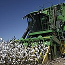 Hoje, o produtor baiano tem um custo médio de US$ 100 para embarcar uma tonelada de algodão para a Ásia, principal mercado mundial
