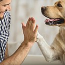 O convívio com os seres humanos afeta diretamente a fisiologia do cachorro