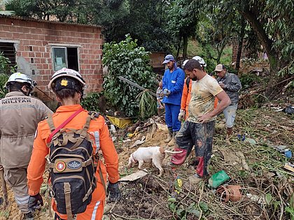 Bombeiros baianos auxiliam nas buscas por desaparecidos nas enchentes em Pernambuco