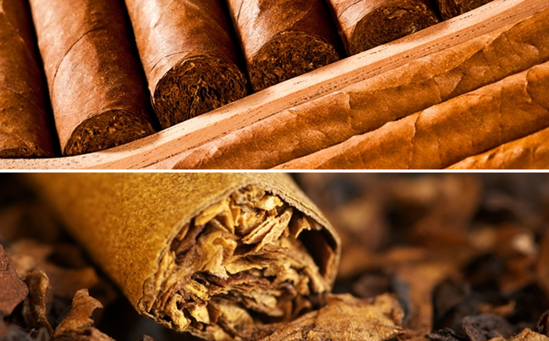 Tabaco produzido no Recôncavo baiano corre por fora