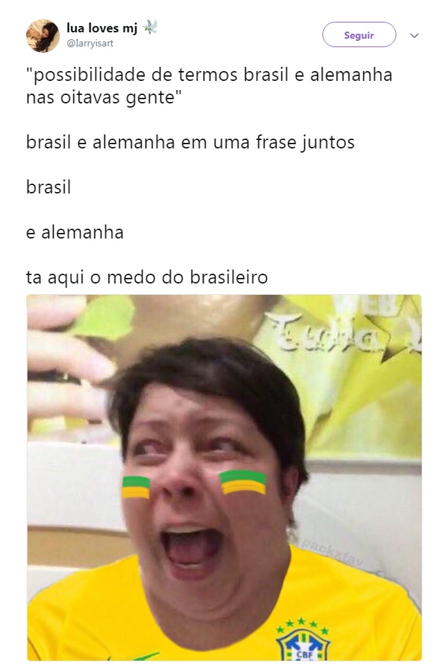 Veja Os Melhores Memes Do Brasil Na Copa Do Mundo Jornal Correio