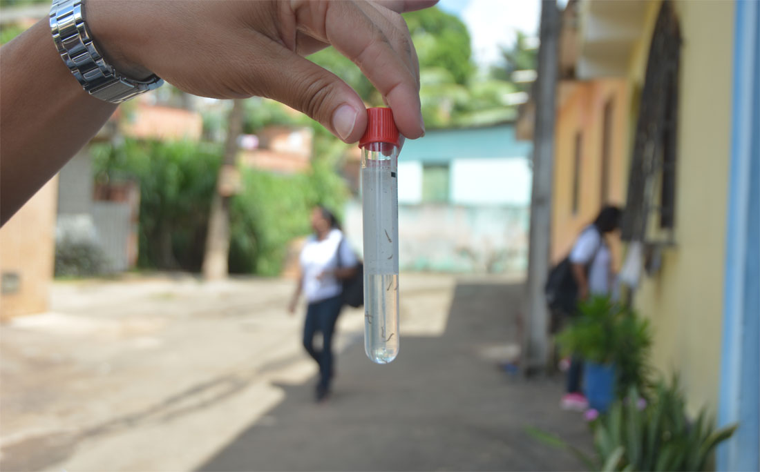 Resultado de imagem para Número de casos de dengue aumenta 667% na Bahia