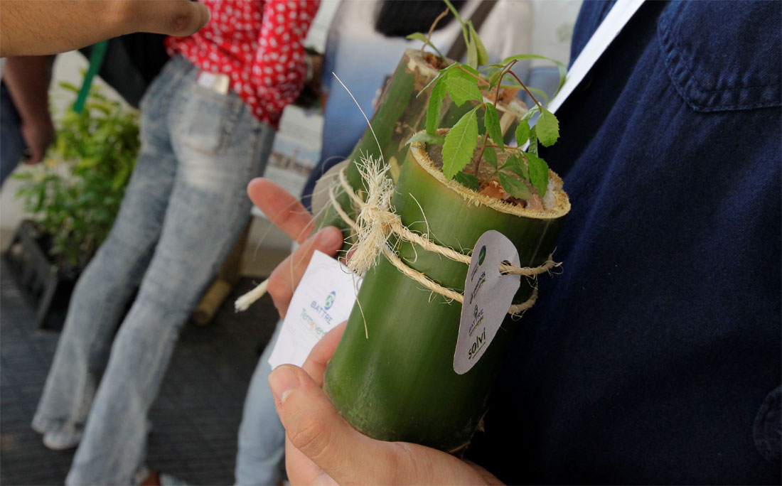 Planta foi distribuída para participantes