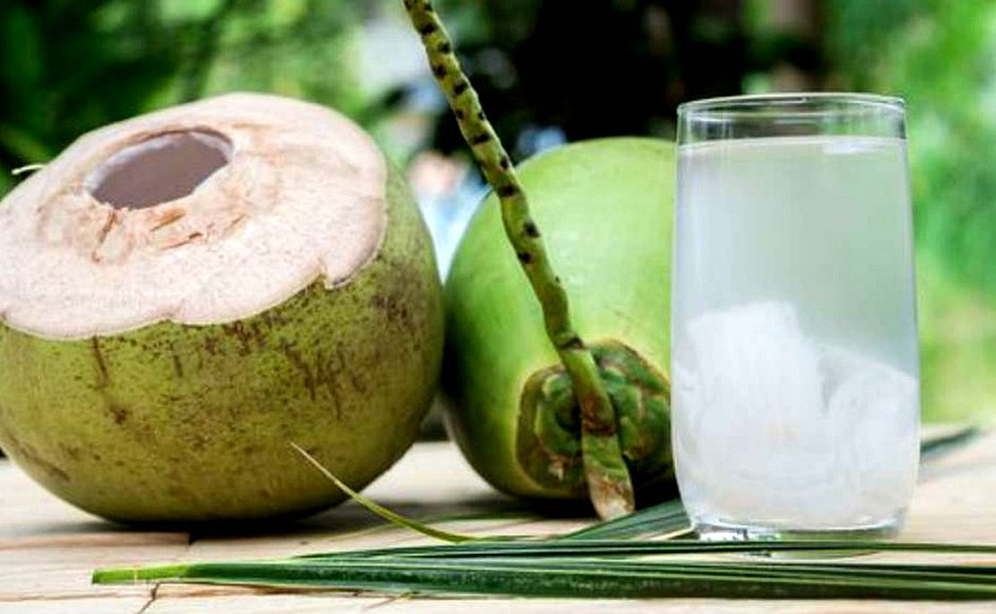 Produção de coco despenca no Brasil e na Bahia - Jornal CORREIO | Notícias e
