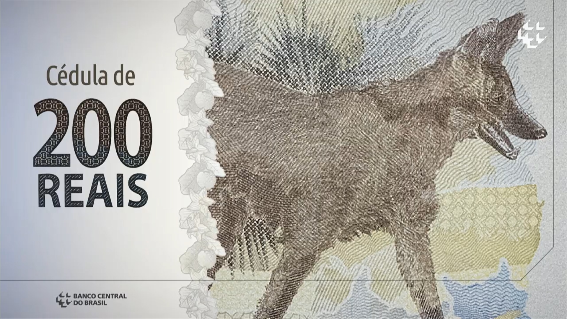 Nova nota tem o mesmo tamanho da atual cédula de R$20