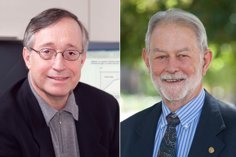 Paul Milgrom e Robert Wilson ganham prêmio Nobel de economia em 2020