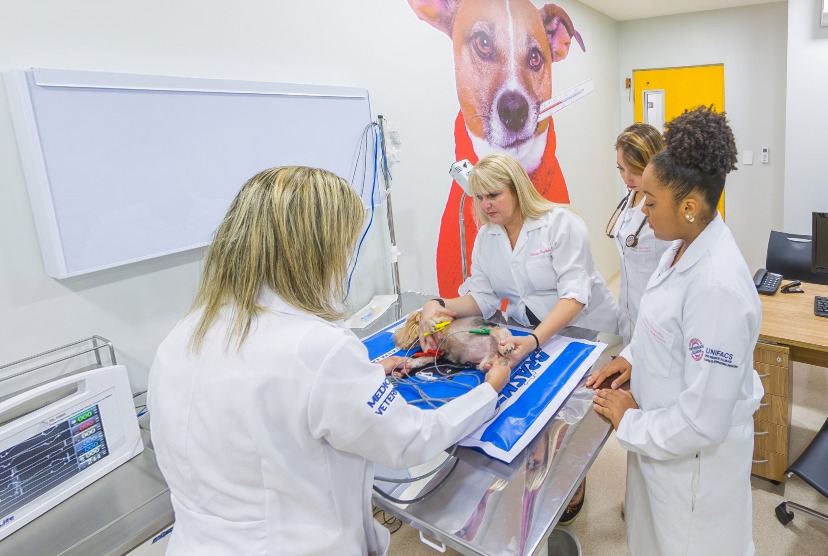 Clínica Veterinária da Unifacs: atendimento com hora marcada 