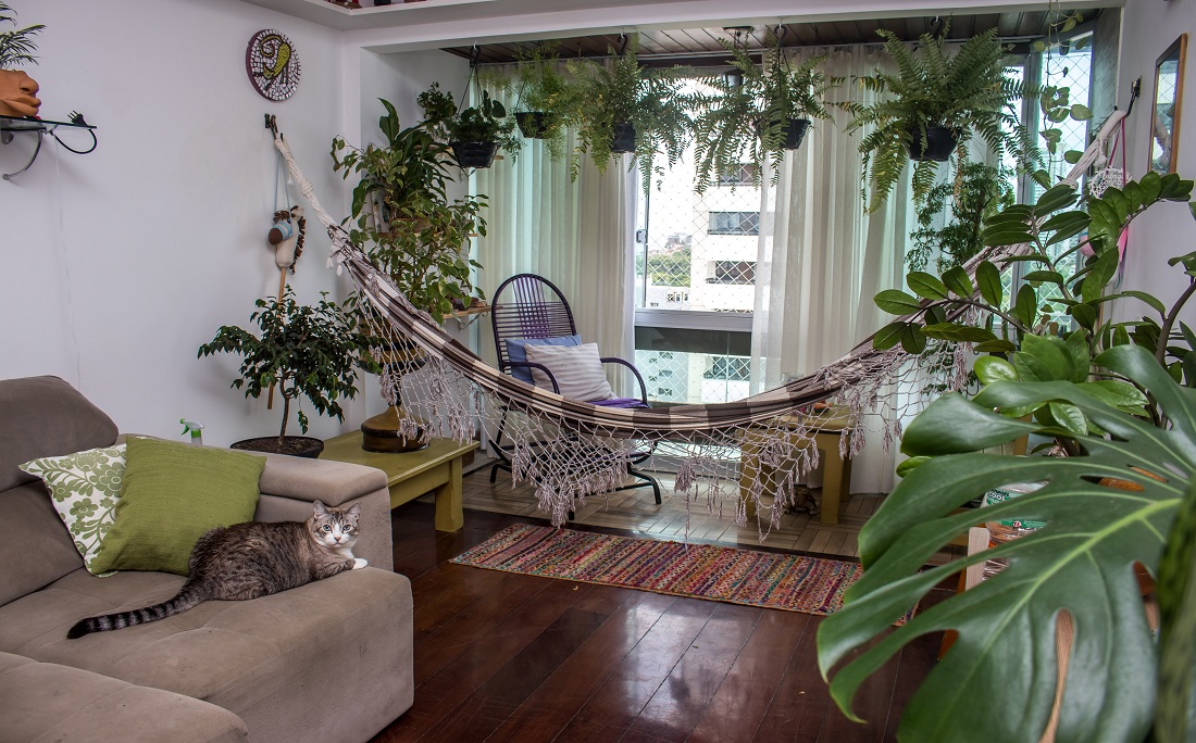 Plantas deixam o ambiente mais acolhedor
